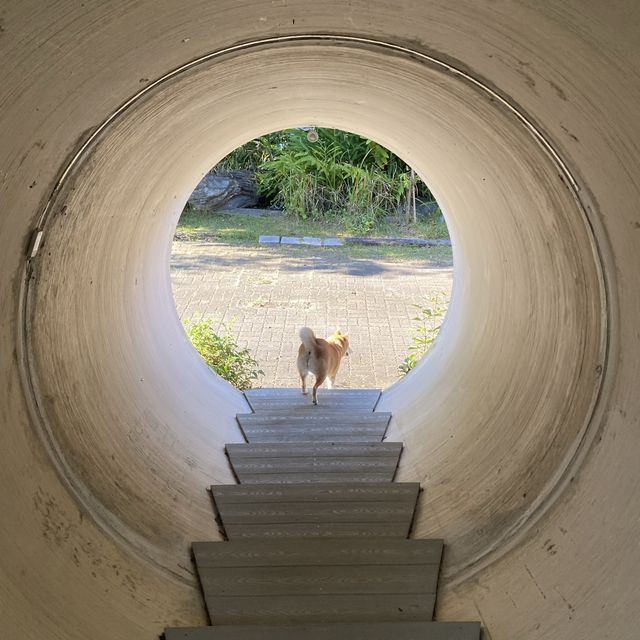廣源記圳步道🐕