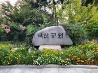 계단 위 세상의 모든 풍경, 낙산 공원