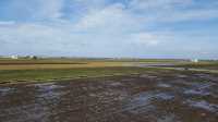  A DAY OUTING IN SEKINCHAN PADI FIELD