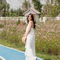 บ้านไร่นายรุ่ง ดอกไม้อย่างเยอะ!!