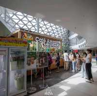 Miracle of Natural..ดอกทิวลิปบานที่ระยอง