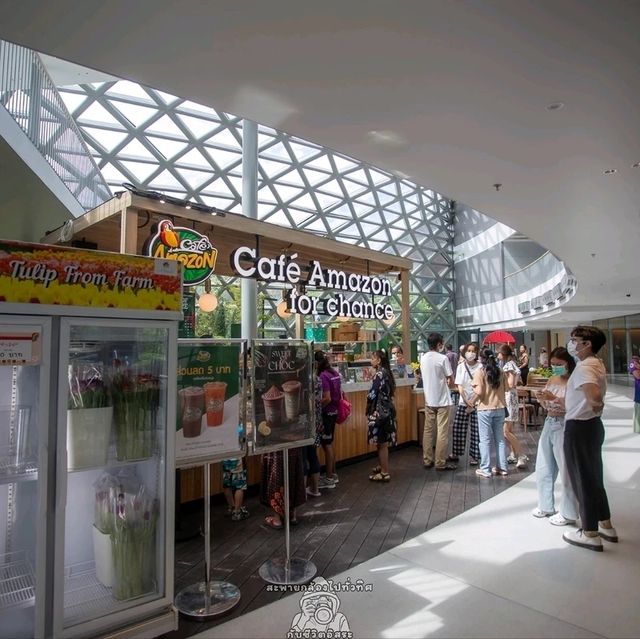 Miracle of Natural..ดอกทิวลิปบานที่ระยอง