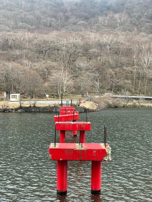 【群馬県/赤城神社】2023年行ってよかった！群馬県の神社④