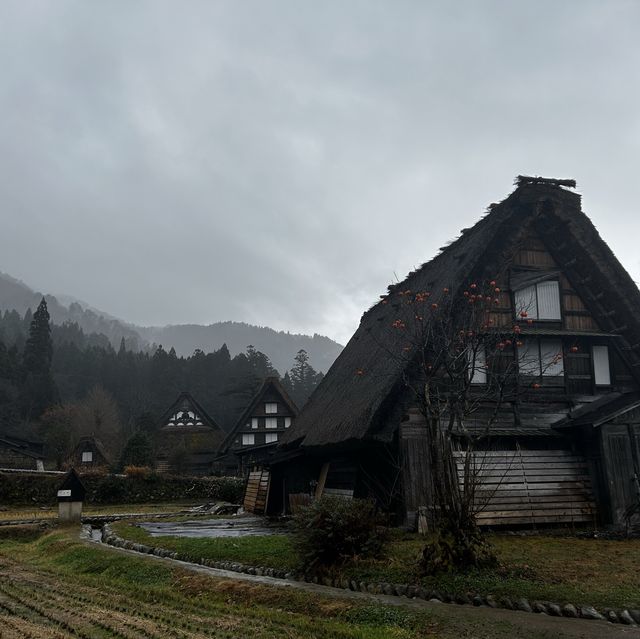 Retro Traditional Japanese houses 