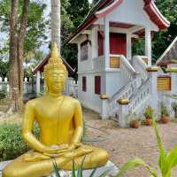 Artistry Unveiled: Wat Xieng Mouane