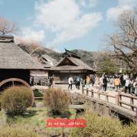 📍Oshino Hakkai (หมู่บ้านน้ำใส)