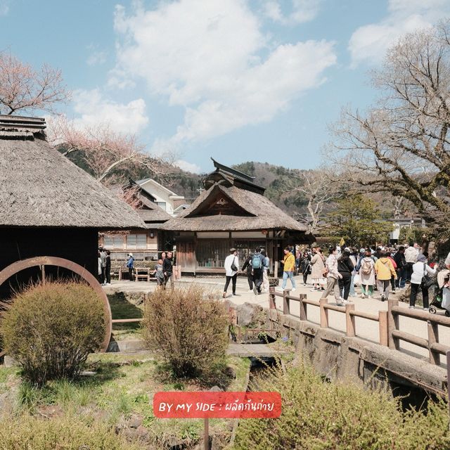 📍Oshino Hakkai (หมู่บ้านน้ำใส)