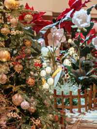 香港聖誕好去處去|金鐘太古廣場