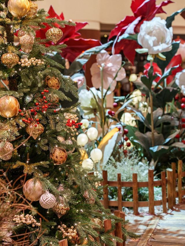 香港聖誕好去處去|金鐘太古廣場 香港聖誕好去處去|金鐘太古廣場