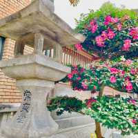 Hakata's Sacred Tapestry Unveiled: Journey