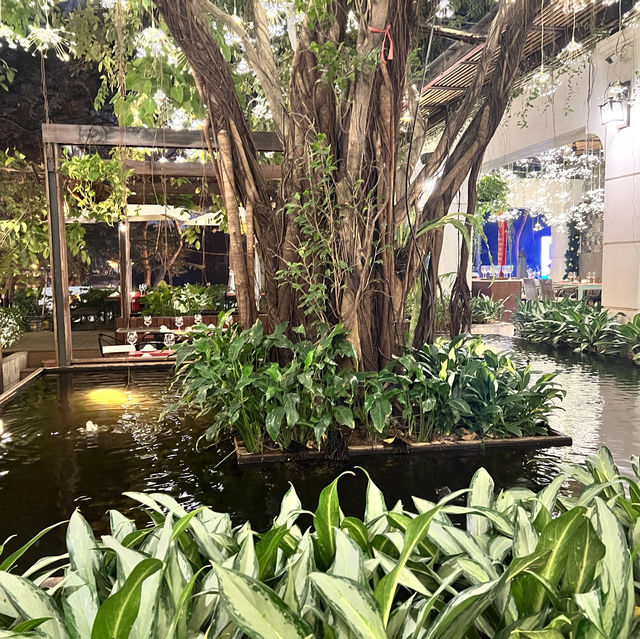 《ベトナム  ハノイ》 雰囲気サイコーのベトナム料理屋さん🇻🇳