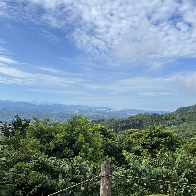 《雲霧灣灣》第一次露營⛺️