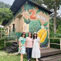 2 Acres Cafe, Penang 🇲🇾 