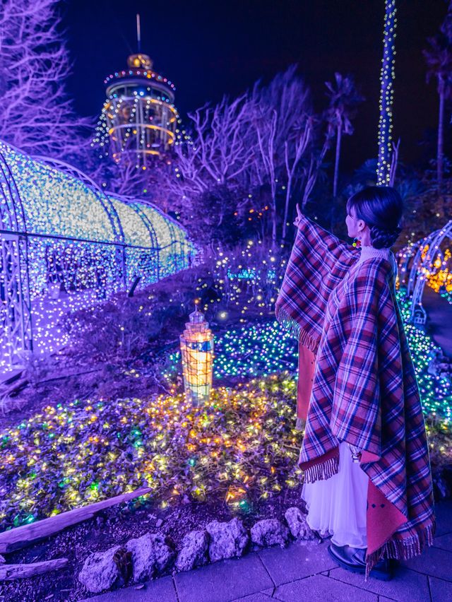 関東三大イルミネーション『湘南の宝石』💎✨✨