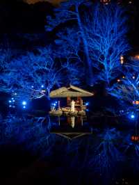 【無料で楽しめる！✨】八芳園のブルーライトアップがとても幻想的！😳✨
