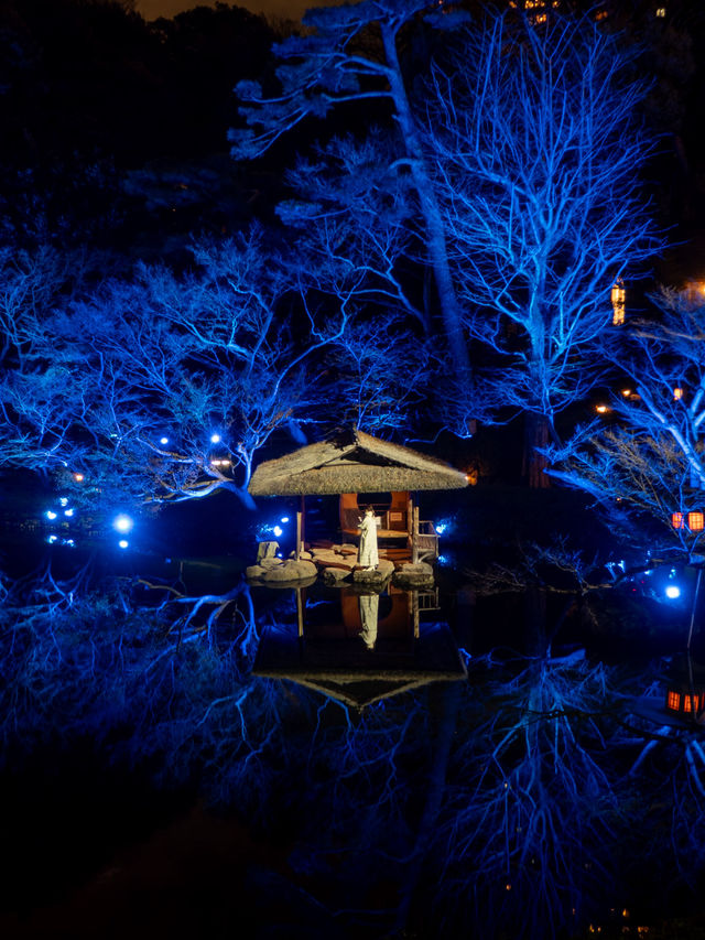 【無料で楽しめる！✨】八芳園のブルーライトアップがとても幻想的！😳✨