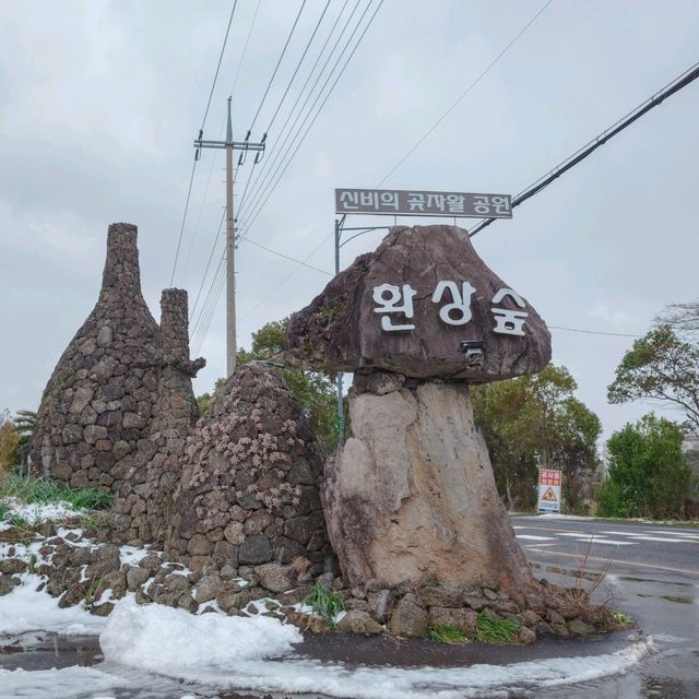 제주의 눈을 숲속에서 밟다! 환상숲