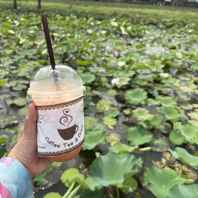 Lotus Cafe in Phattalung, South Thailand