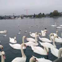 Zürich Opera House