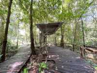 Delve into the heart of biodiversity.