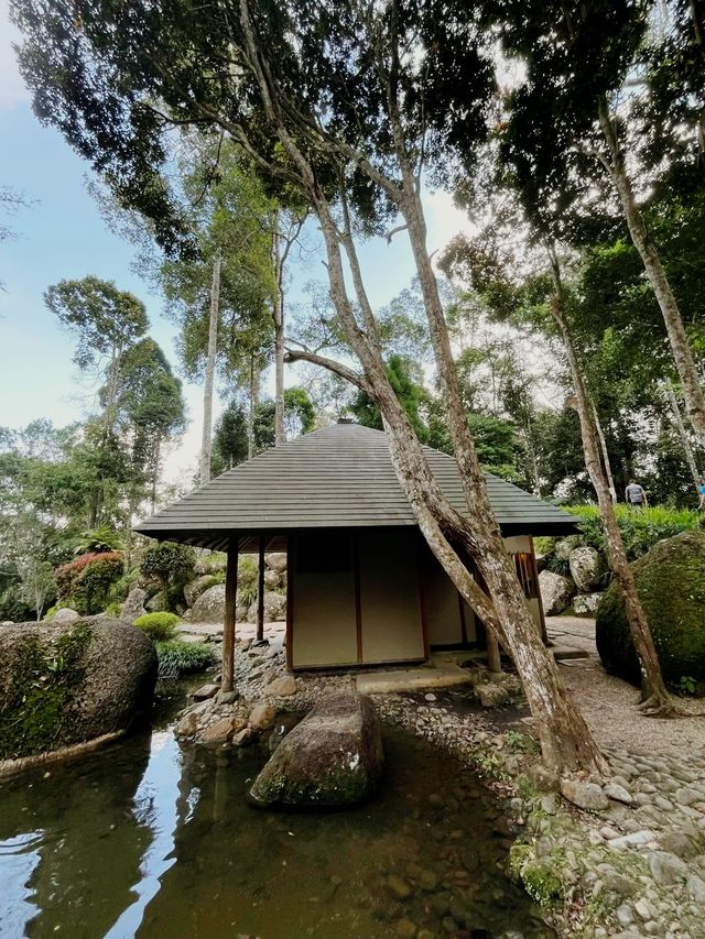 Zen Haven: Exploring the Tranquil Charms