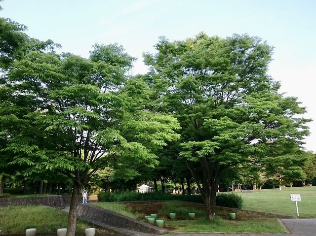 Wakasato Park
