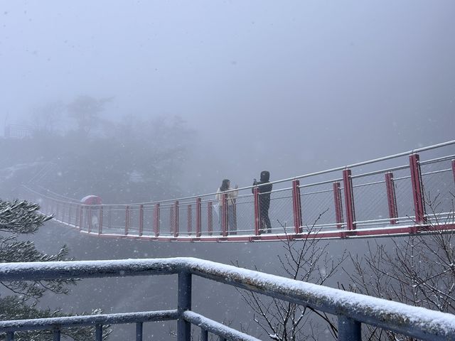 難得一遇的大芚山雪景💛
