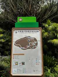 🐼 เยือนถิ่นแพนด้ายักษ์ 🐼 ‘เฉิงตู’ 🇨🇳