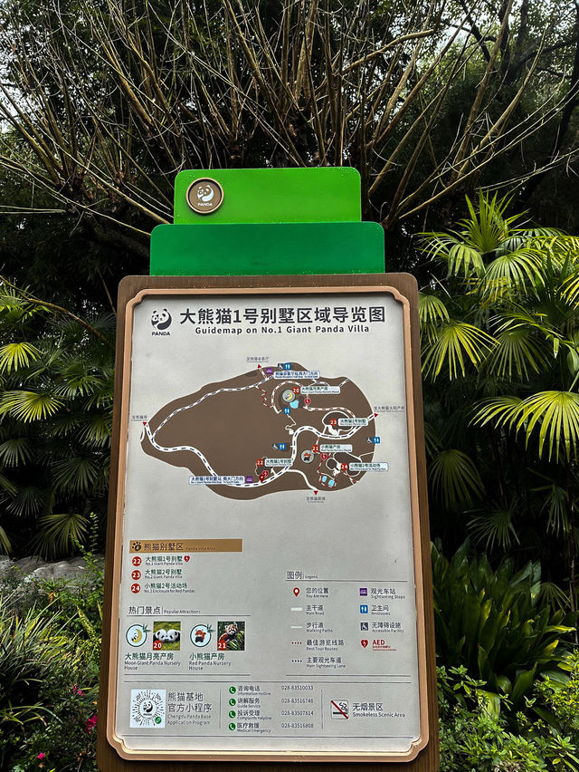 🐼 เยือนถิ่นแพนด้ายักษ์ 🐼 ‘เฉิงตู’ 🇨🇳