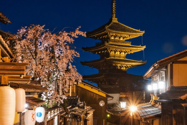 1mi5b224x8u7pu0nn979C_R_600_40