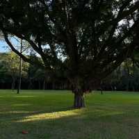 「新加坡難得的市區綠洲：肯特崗公園」
