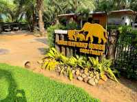 Krabi Elephant House Sanctuary