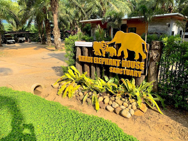 Krabi Elephant House Sanctuary