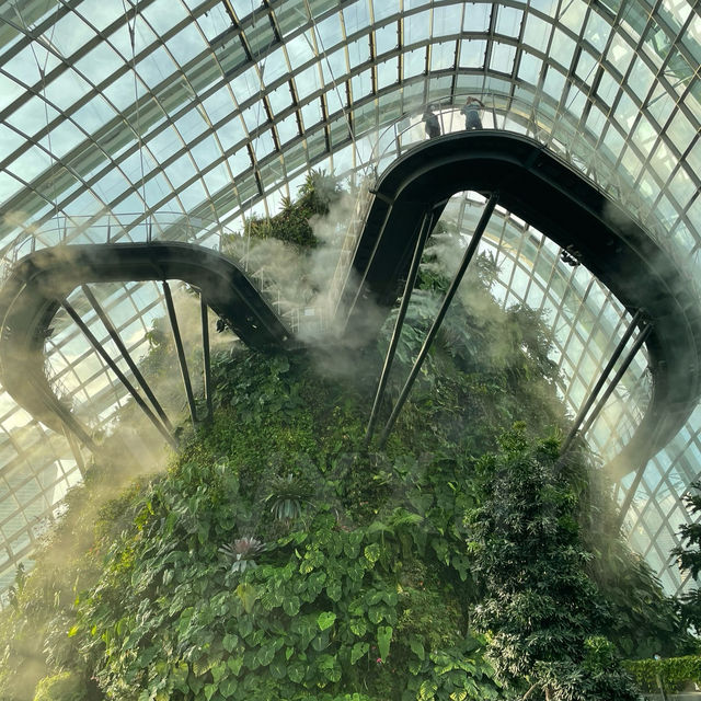 Into the Mist: GBTB Cloud Forest