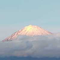 富士山世界遺產中心