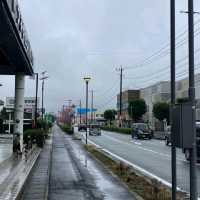 熊本縣早櫻：肥後大津站Aeon旁車路