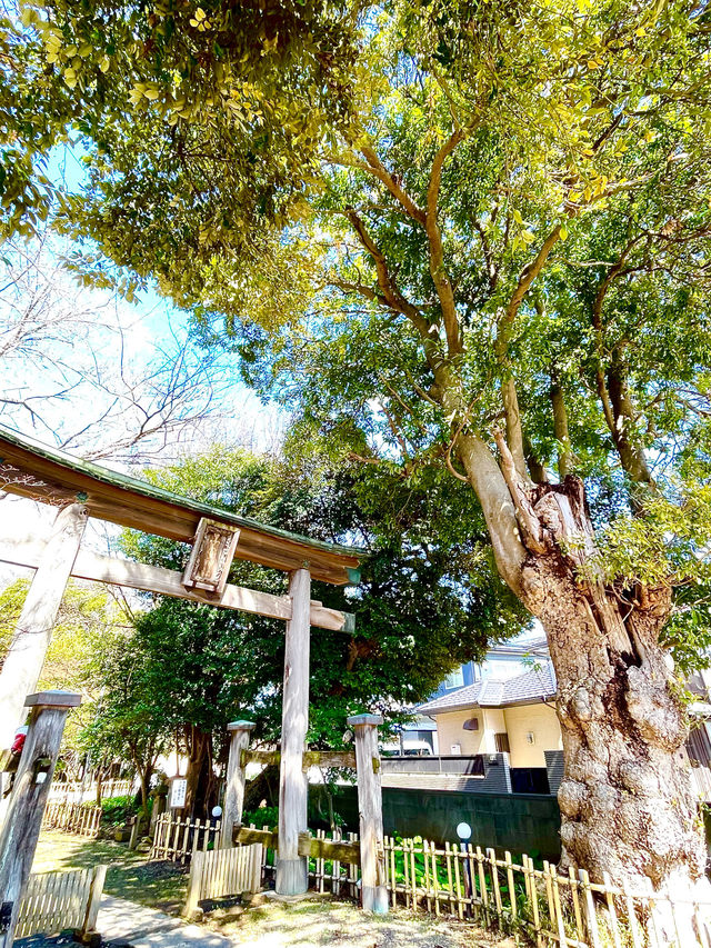 【子安神社/千葉県】伝統を長く受け継いでいる