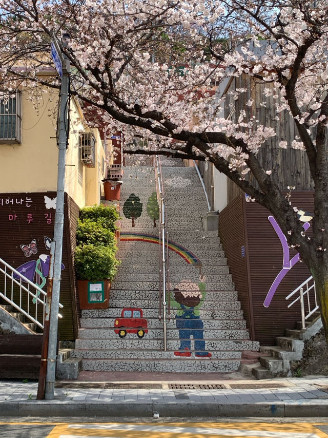 부산 벚꽃 명소 닥밭골벽화 마을 