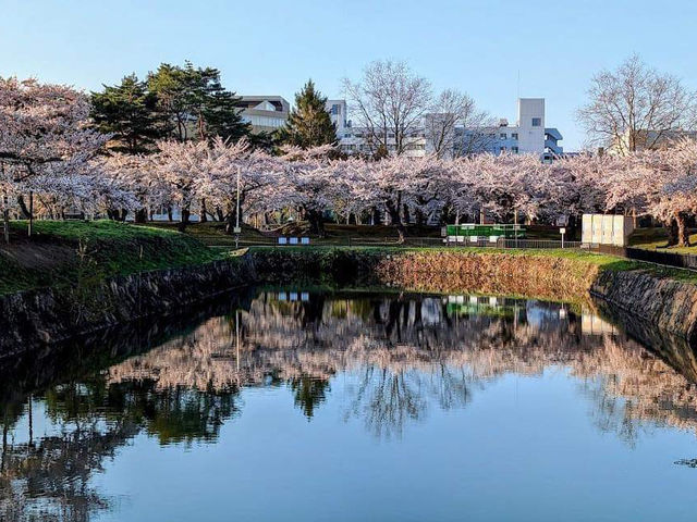 Fort Goryokaku in the Japanese Garden