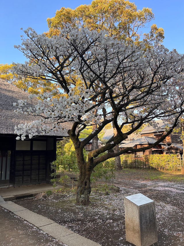 Edo-Tokyo Open Air Architectural Museum