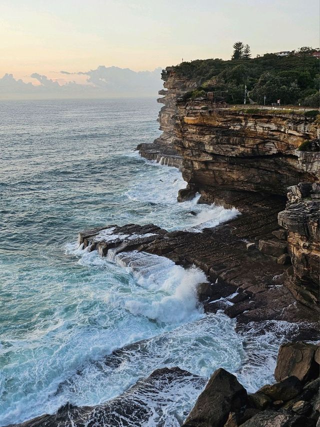 🇦🇺 시드니 갭공원에서 산책하기 💙