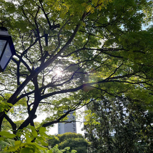 吉隆坡鄧普勒公園：綠洲中的寧靜