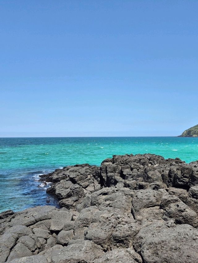 제주 동쪽 바다여행🏝