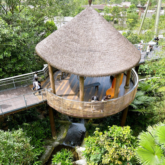 Bird Paradise African Zone