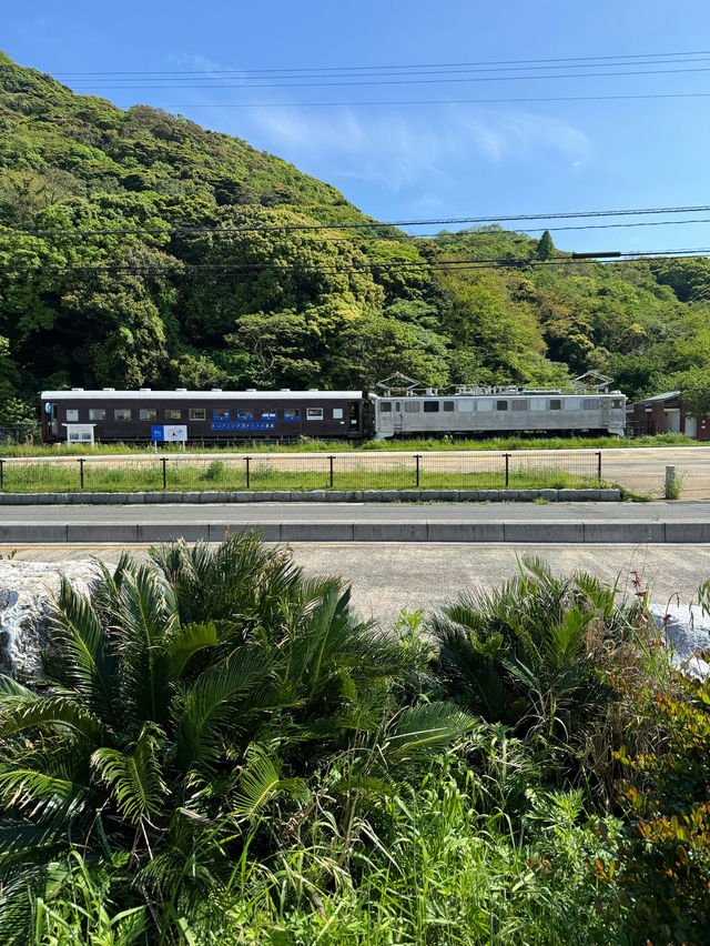 【北九州カフェ】門司港レトロに客席列車を改装したカフェがオープン☕️ピクニック気分で寄ってみて🌭