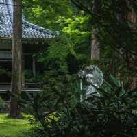 福岡大濠公園日式庭園：精緻造園、恬靜環境，感受日本風情