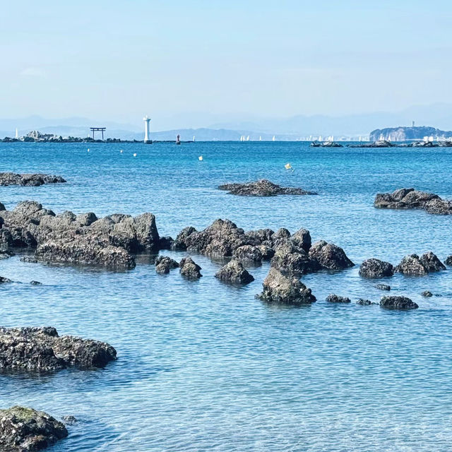 逗子海岸：夕陽美景、自然生態，絕對值得一遊