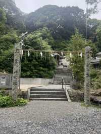 【北九州神社】看板猫に会えるかも？古代から続く神社