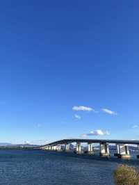 【滋賀観光】琵琶湖の中の大鳥居が圧巻⛩夕暮れ時も素敵です✨