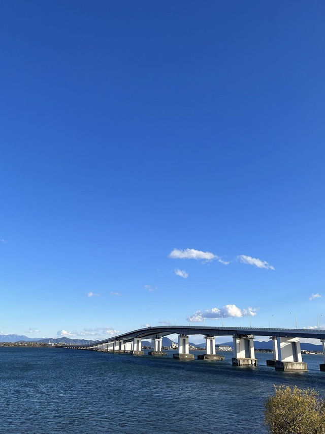 【滋賀観光】琵琶湖の中の大鳥居が圧巻⛩夕暮れ時も素敵です✨